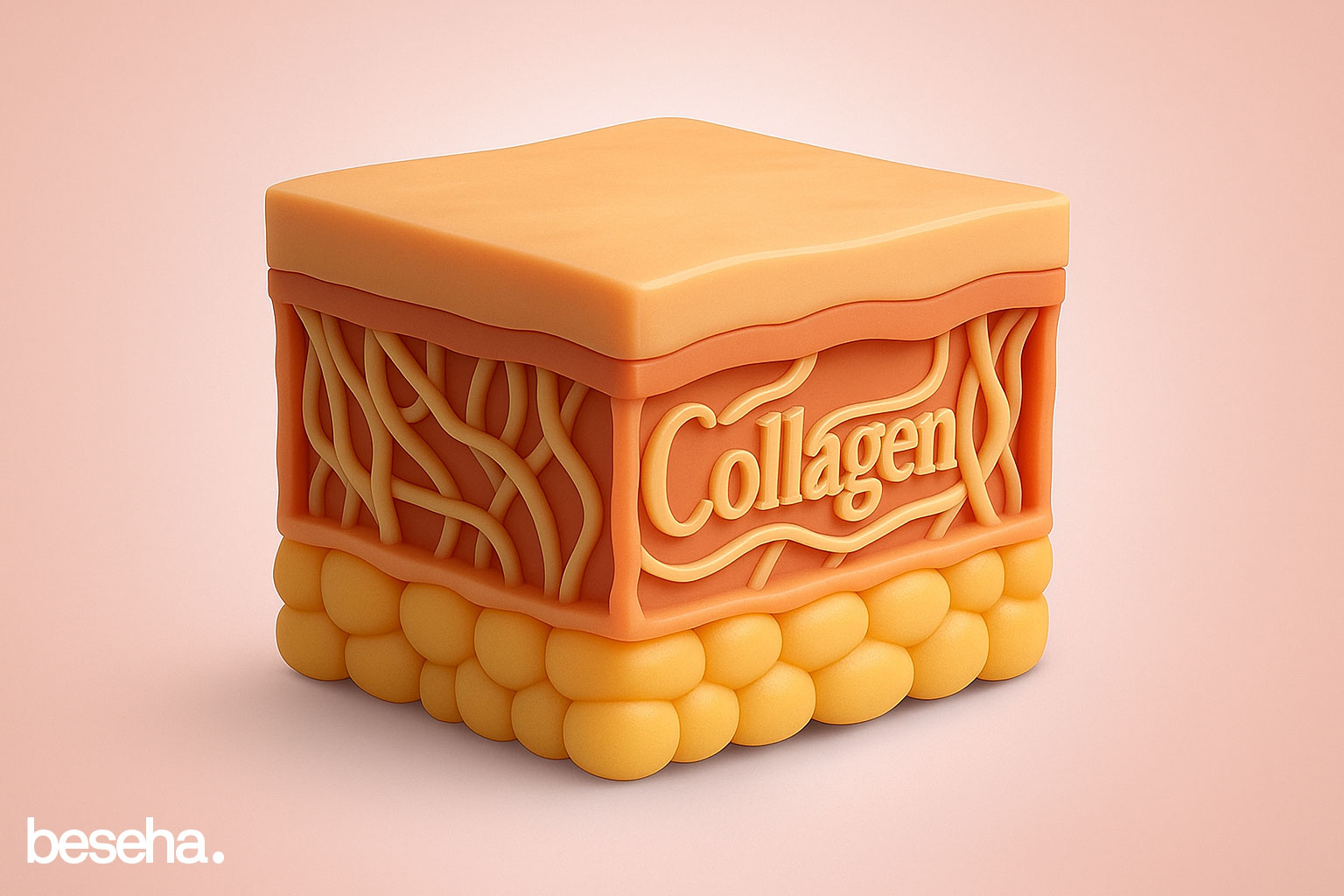 Types of Collagen and Their Benefits for Skin and Joints