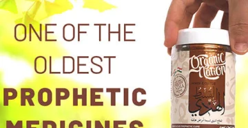 Hindi Costus-القسط الهندي