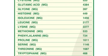اورجانيك نيشن ايزوليت واي بروتين-Organic Nation Isolate Whey