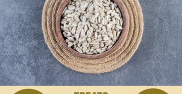 Sunflower Seeds-بذور دوار الشمس