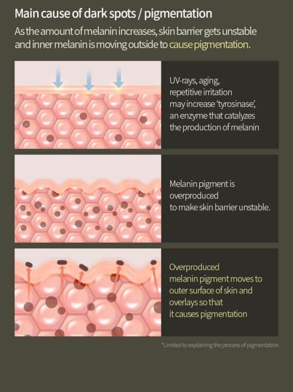 Vitamin C Hyaluronic Serum